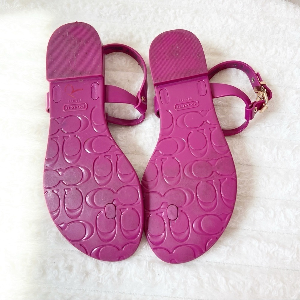 Coach Pier Fuchsia Jelly Sandals - Picture 2 of 9